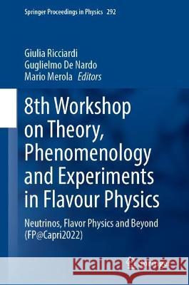 8th Workshop on Theory, Phenomenology and Experiments in Flavour Physics  9783031304583 Springer International Publishing - książka