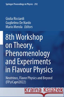 8th Workshop on Theory, Phenomenology and Experiments in Flavour Physics  9783031304613 Springer International Publishing - książka