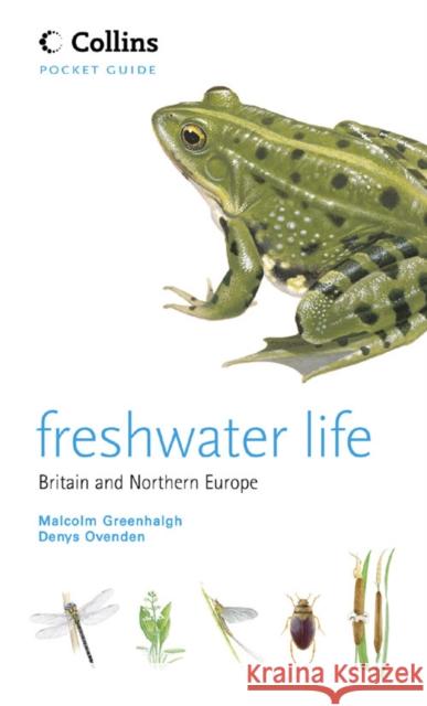 Freshwater Life Malcolm Greenhalgh Denys Ovenden 9780007177776 HARPERCOLLINS PUBLISHERS