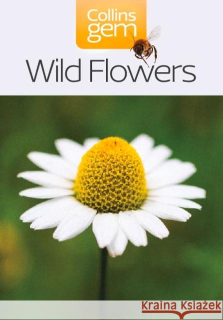 Wild Flowers   9780007178544 HarperCollins Publishers