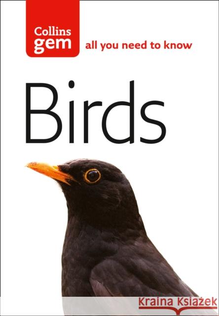 Birds Jim Flegg 9780007178605 HarperCollins Publishers