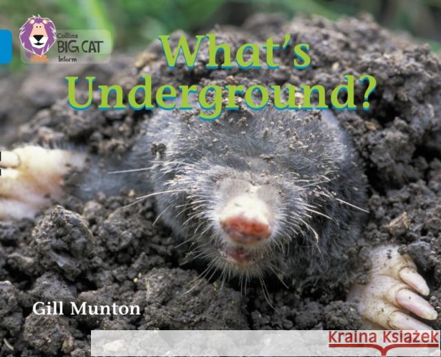 What’s Underground: Band 04/Blue Munton, Gill 9780007185863 HarperCollins Publishers