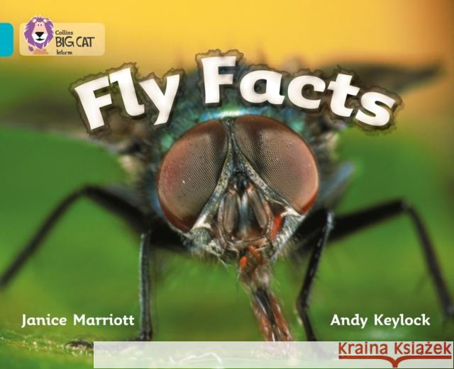 Fly Facts: Band 07/Turquoise Janice Marriott 9780007186082