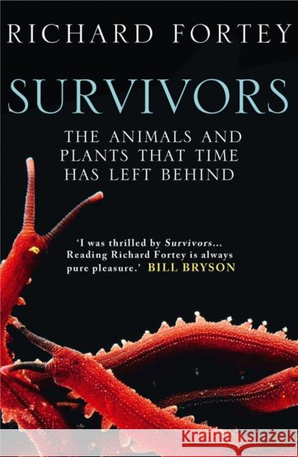 Survivors : The Animals and Plants That Time Has Left Behind Richard Fortey 9780007209873