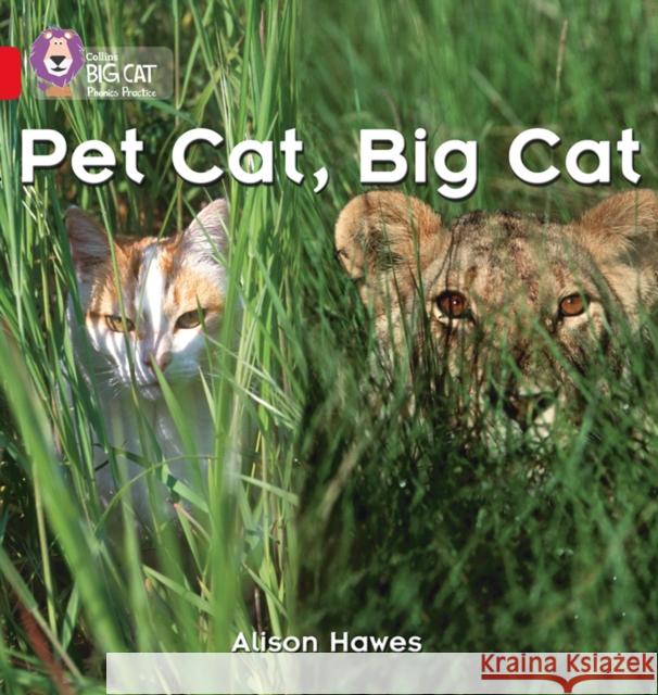 Pet Cat, Big Cat: Band 02a/Red a Alison Hawes 9780007235872