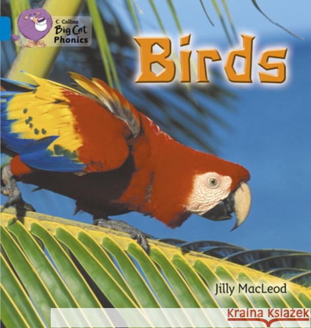 Birds: Band 04/Blue Jilly McLeod 9780007236046