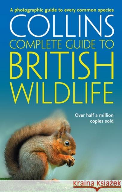 British Wildlife: A Photographic Guide to Every Common Species  Sterry 9780007236831