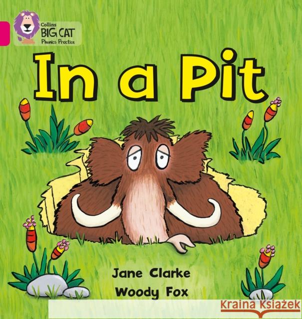 In a Pit: Band 01a/Pink a Woody Fox 9780007334889