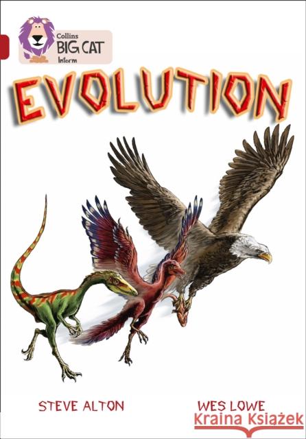 Evolution: Band 14/Ruby Steve Alton 9780007336333