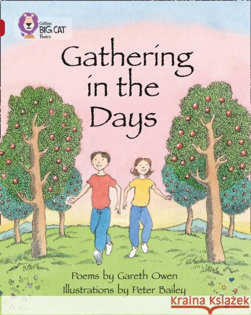 Gathering in the Days: Band 14/Ruby Gareth Owen 9780007336357 HarperCollins Publishers