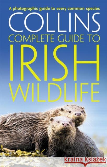 Collins Complete Irish Wildlife: Introduction by Derek Mooney Paul Sterry 9780007349517 HarperCollins Publishers