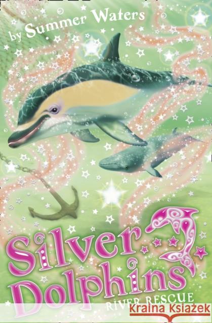 River Rescue Summer Waters 9780007367504 HarperCollins Publishers