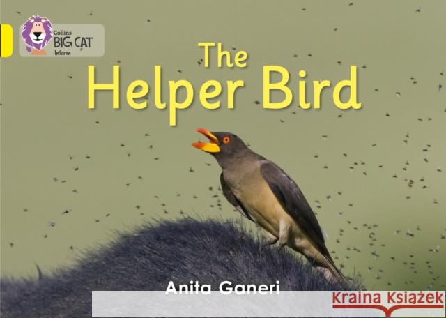 Helper Bird: Band 03/Yellow Anita Ganeri 9780007412945