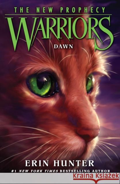 DAWN Erin Hunter 9780007419241 HarperCollins Publishers