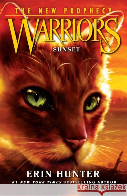 SUNSET Erin Hunter 9780007419272 HarperCollins Publishers