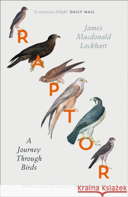 Raptor: A Journey Through Birds James Macdonald Lockhart 9780007459896