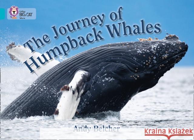 The Journey of Humpback Whales: Band 07/Turquoise Andy Belcher 9780007461820