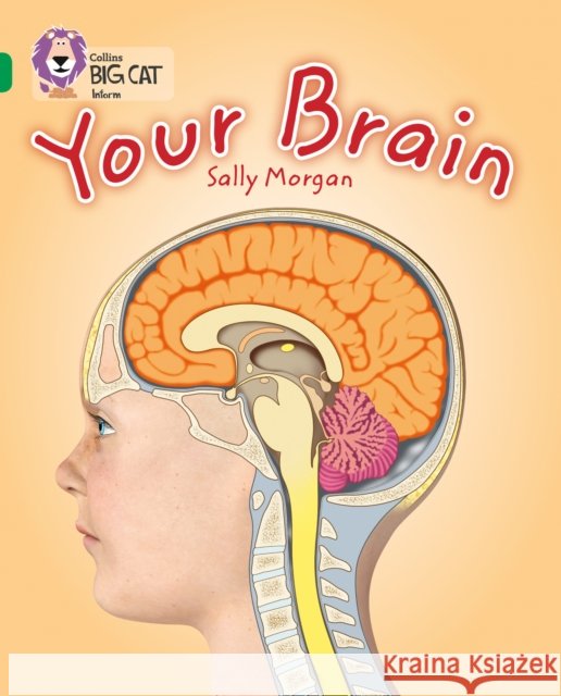 Your Brain: Band 15/Emerald Sally Morgan 9780007465453 HarperCollins Publishers