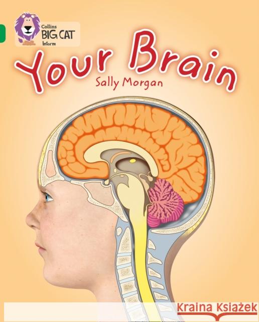 Your Brain: Band 15/Emerald Sally Morgan 9780007465453