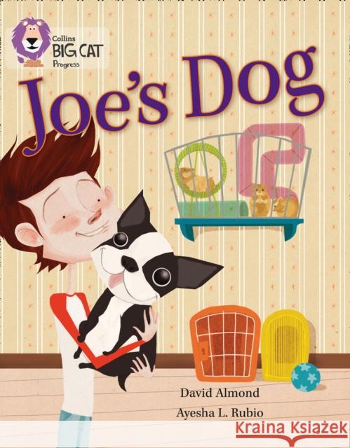 Joe’s Dog: Band 09 Gold/Band 12 Copper David Almond 9780007498581