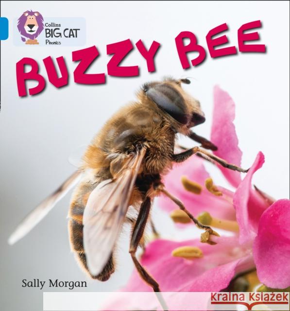 Buzzy Bees: Band 04/Blue  9780007507856 HarperCollins Publishers