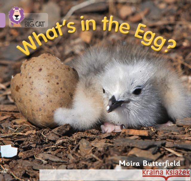 What’s in the Egg?: Band 00/Lilac  9780007512607 HarperCollins Publishers