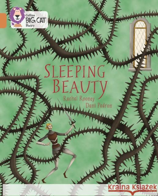 Sleeping Beauty: Band 12/Copper Rachel Rooney 9780008127718