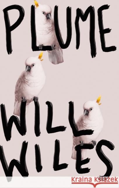 Plume Will Wiles 9780008194413