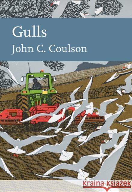 Gulls Professor John C. Coulson 9780008201425 HarperCollins Publishers