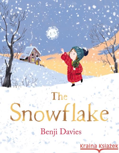 The Snowflake Benji Davies 9780008212834 HarperCollins Publishers