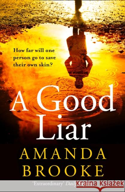 A Good Liar Amanda Brooke 9780008219123