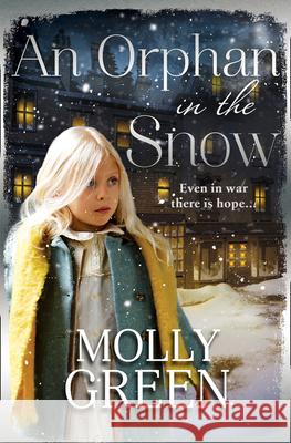 An Orphan in the Snow Molly Green 9780008238940 HarperCollins Publishers