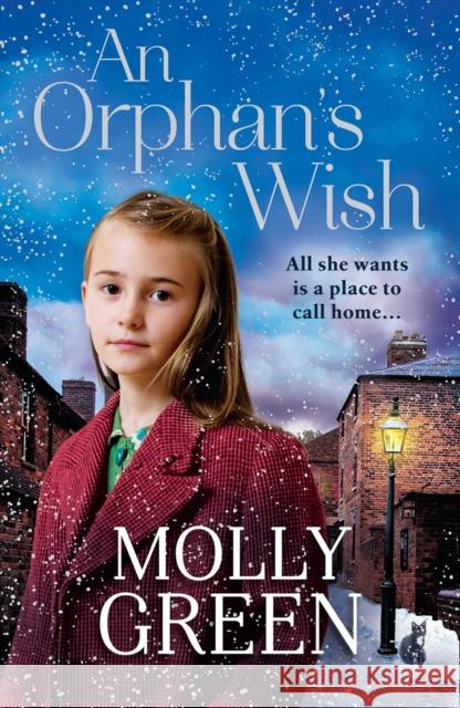 An Orphan’s Wish Molly Green 9780008239008 HarperCollins Publishers