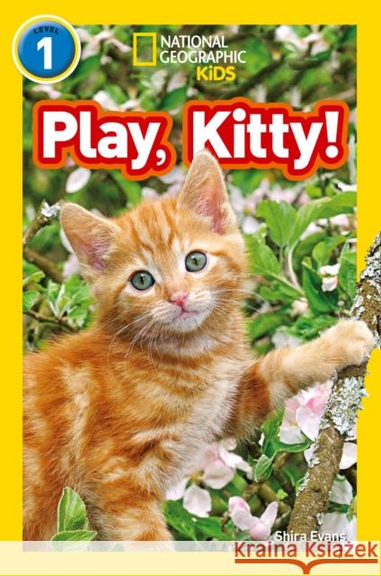 Play, Kitty!: Level 1 National Geographic Kids 9780008266516 HarperCollins Publishers