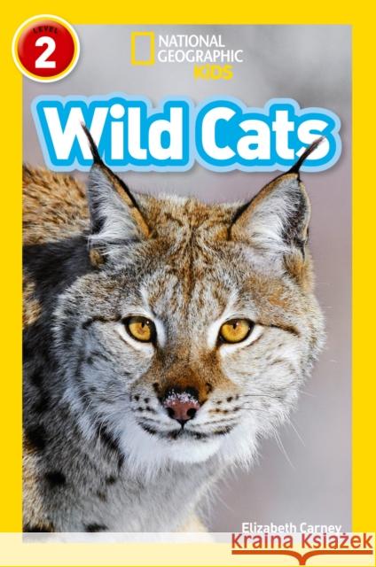 Wild Cats: Level 2  9780008266585 HarperCollins Publishers