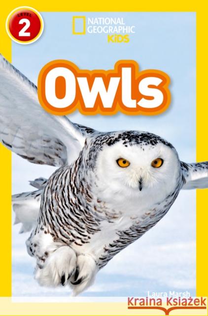 Owls: Level 2 National National Geographic Kids 9780008266615 HarperCollins Publishers