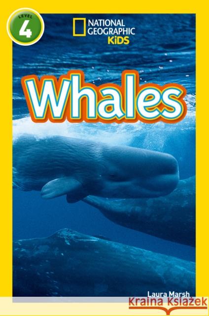 Whales: Level 4 National Geographic Kids 9780008266820 HarperCollins Publishers