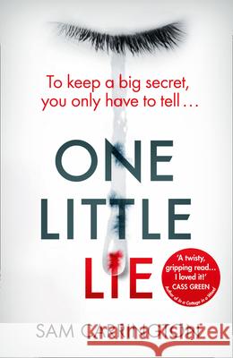 One Little Lie Sam Carrington 9780008300814 HarperCollins Publishers