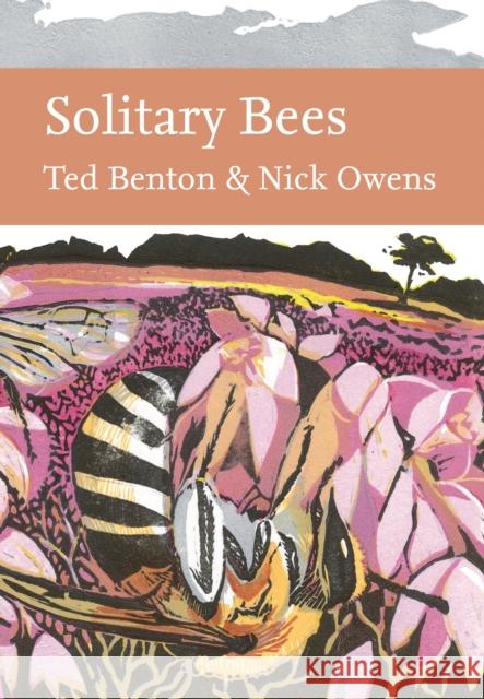 Solitary Bees Owens, Nick 9780008304553 HarperCollins Publishers