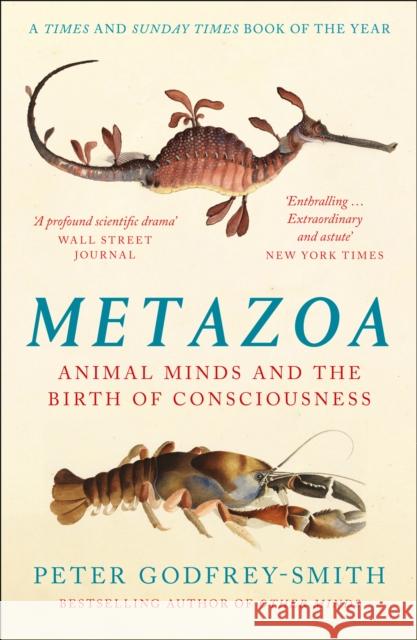 Metazoa: Animal Minds and the Birth of Consciousness Peter Godfrey-Smith 9780008321239 HarperCollins Publishers