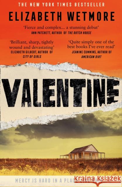 Valentine Elizabeth Wetmore 9780008331962 HarperCollins Publishers