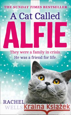 A Cat Called Alfie Rachel Wells 9780008334673 HarperCollins Publishers