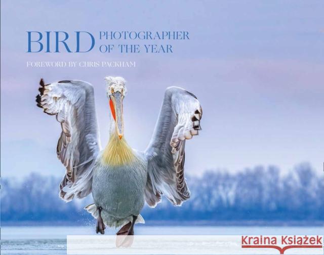 Bird Photographer of the Year: Collection 4 Bird Photographer of the Year 9780008336196 HarperCollins Publishers