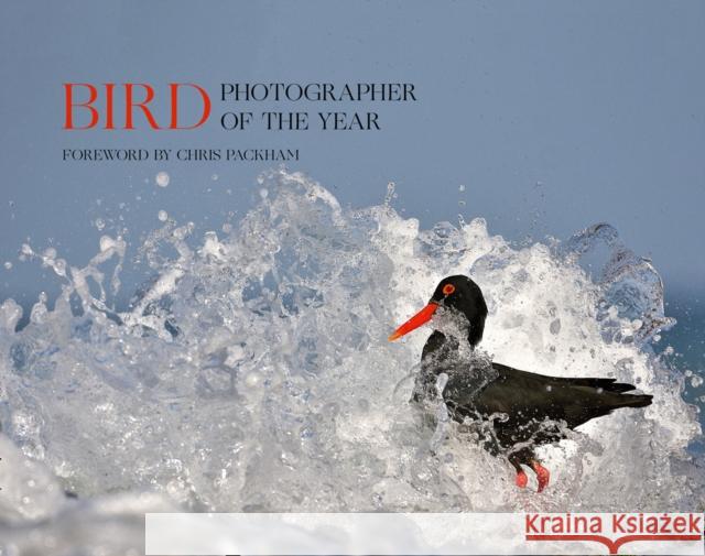 Bird Photographer of the Year: Collection 5 Bird Photographer of the Year 9780008336202 HarperCollins Publishers