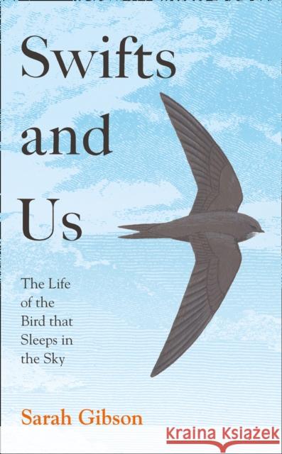 Swifts and Us: The Life of the Bird That Sleeps in the Sky Sarah Gibson 9780008350635 HarperCollins Publishers