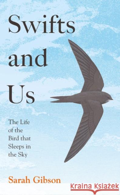 Swifts and Us: The Life of the Bird That Sleeps in the Sky Sarah Gibson 9780008350666 