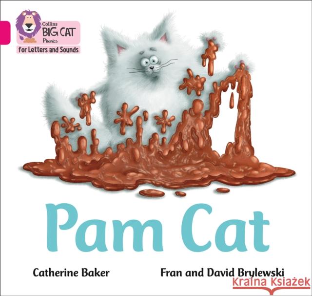 Pam Cat: Band 01b/Pink B Catherine Baker 9780008351908 HarperCollins Publishers