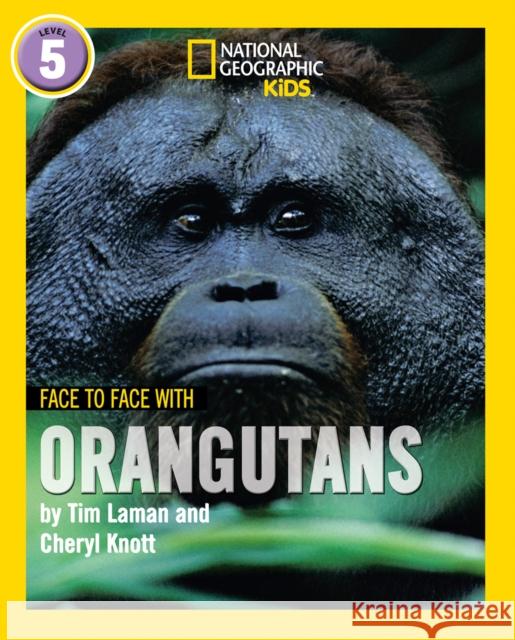 Face to Face with Orangutans: Level 5 Cheryl Knott 9780008358075