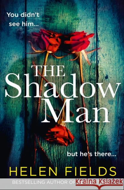 The Shadow Man Helen Fields 9780008379308