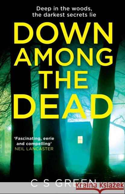 Down Among the Dead: A Rose Gifford Book C S Green 9780008390907 HarperCollins Publishers